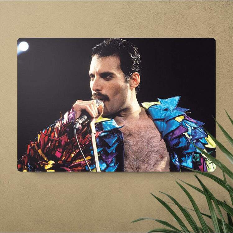 Placa Decorativa Freddie Mercury 2