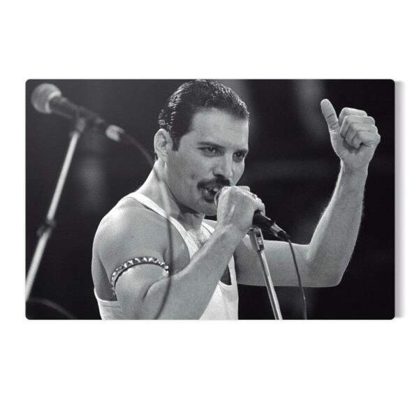 Placa Decorativa Freddie Mercury 3