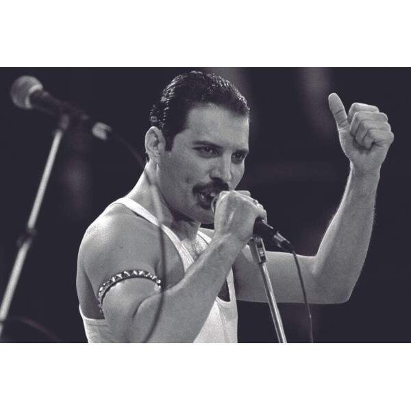 Placa Decorativa Freddie Mercury 3