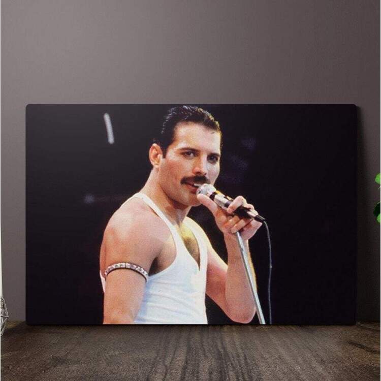 Placa Decorativa Freddie Mercury 6