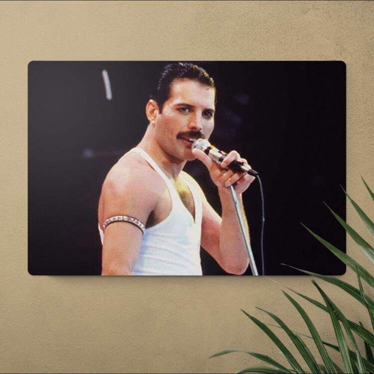 Placa Decorativa Freddie Mercury 6