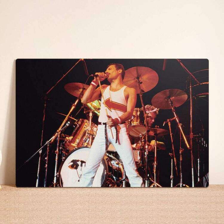 Placa Decorativa Freddie Mercury 9