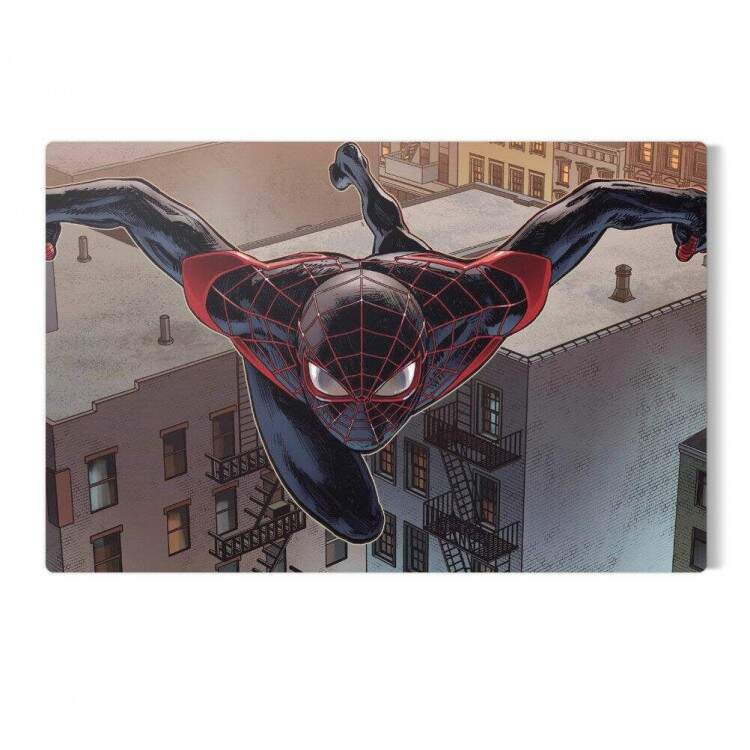 Placa Decorativa Homem Aranha 1