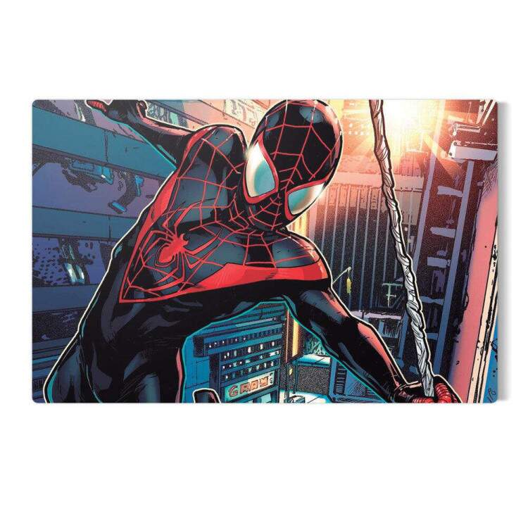 Placa Decorativa Homem Aranha 4