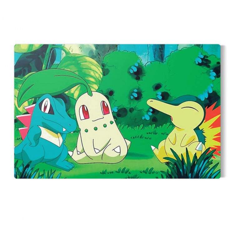 Placa Decorativa Pokemon 23