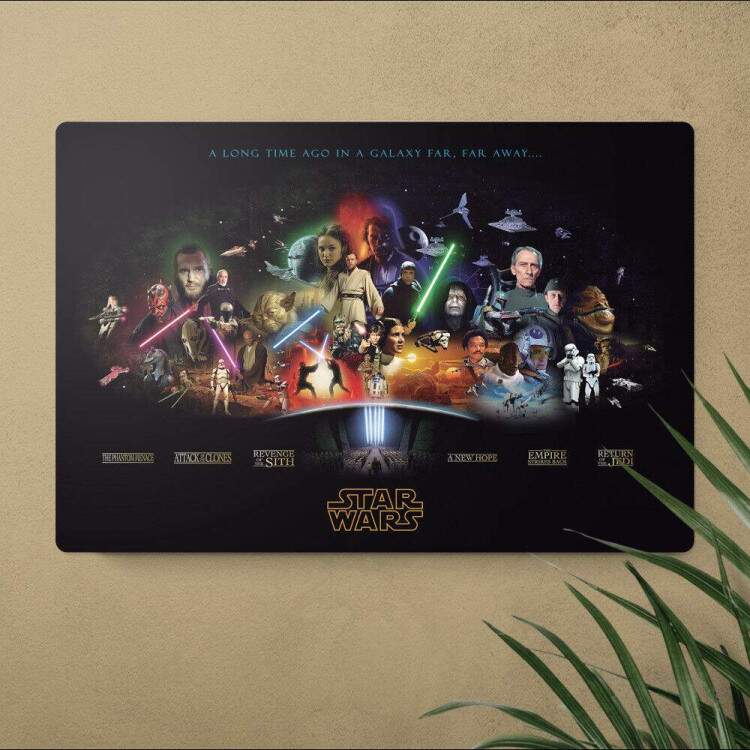 Placa Decorativa Star Wars 25