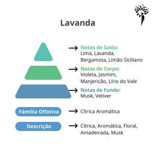 Essncia Premium Lavanda