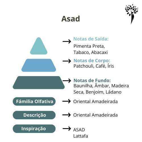 Meu Perfume de Grife Asad