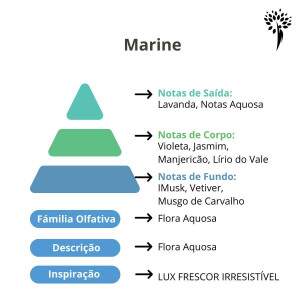 Essncia Premium Marine - 100ml