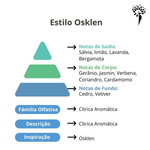 ess-ncia-premium-estilo-osklen