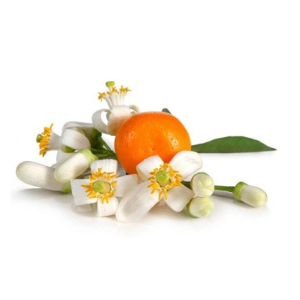 ESSNCIA FLOR DE LARANJEIRA 30ML