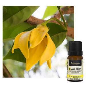 LEO ESSENCIAL DE YLANG YLANG 10ML
