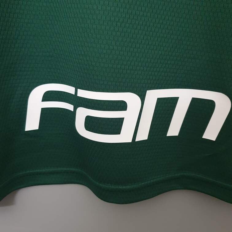 Camisa do palmeiras Home 2020/2021 - Todos os ...