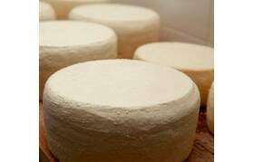 Queijo Minas