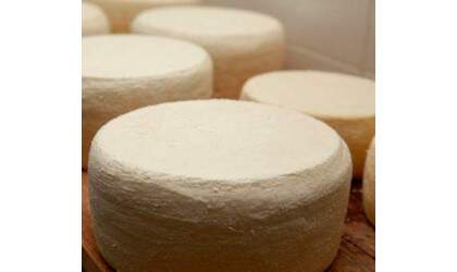 Queijo Minas