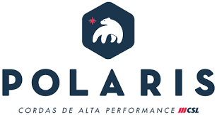 Logo da marca Polaris