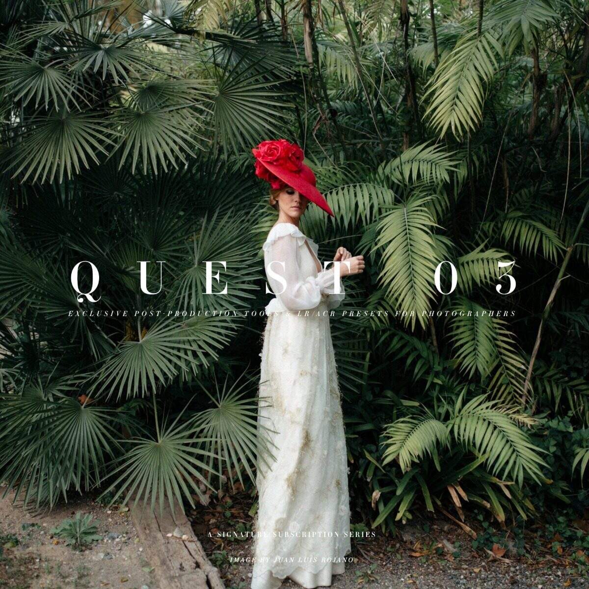 Tribe Archipelago Novos Packs De Presets Lr & Acr