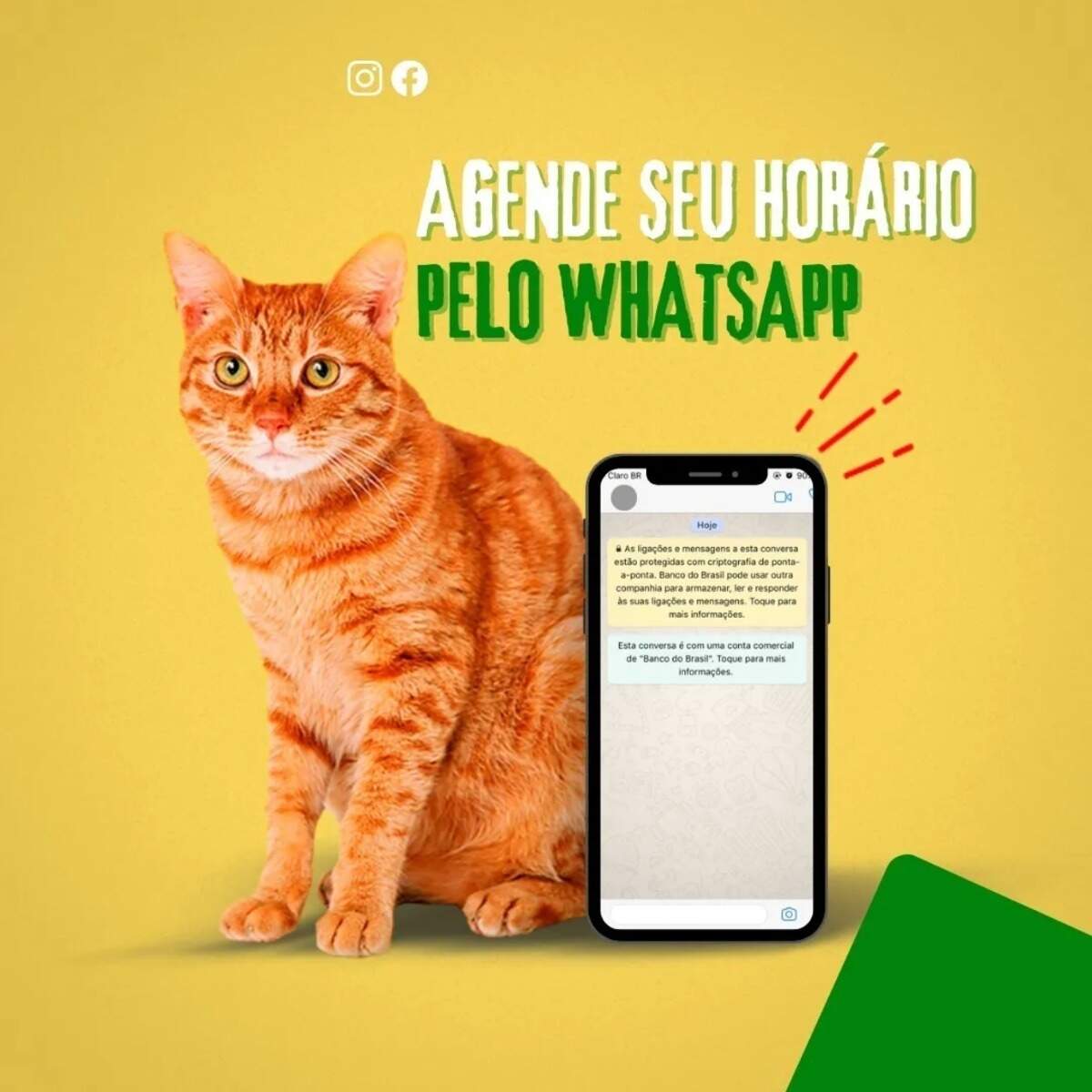 Pack 297 Artes Premium Editáveis Pet Shop E Veterinário Arquivos