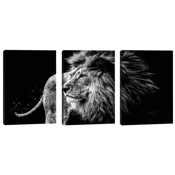 Quadro Decorativo Majestic Pride - Lees em Preto e Branco