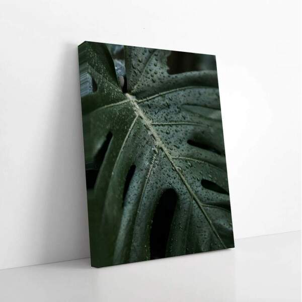 Quadro Decorativo Folha Verde com Orvalho - Inspire-se!