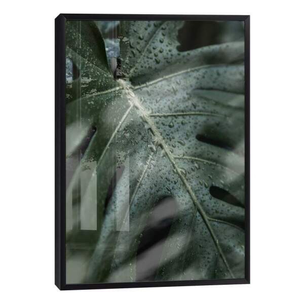 Quadro Decorativo Folha Verde com Orvalho - Inspire-se!
