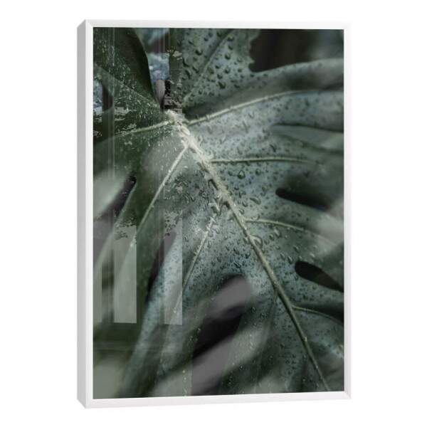 Quadro Decorativo Folha Verde com Orvalho - Inspire-se!