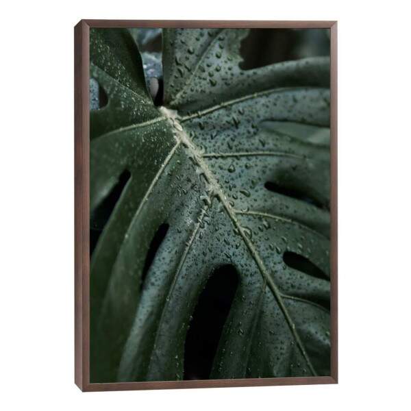 Quadro Decorativo Folha Verde com Orvalho - Inspire-se!