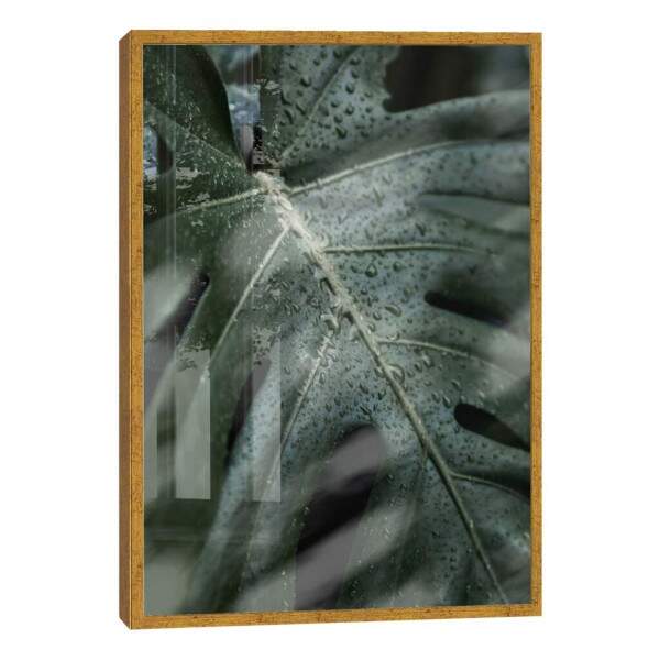Quadro Decorativo Folha Verde com Orvalho - Inspire-se!