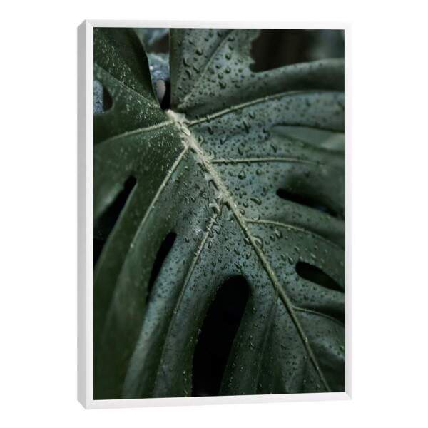 Quadro Decorativo Folha Verde com Orvalho - Inspire-se!