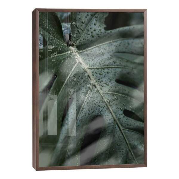 Quadro Decorativo Folha Verde com Orvalho - Inspire-se!