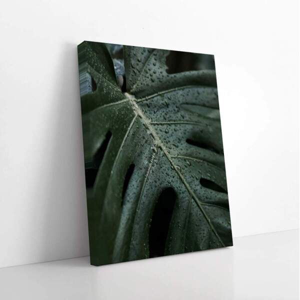 Quadro Decorativo Folha Verde com Orvalho - Inspire-se!