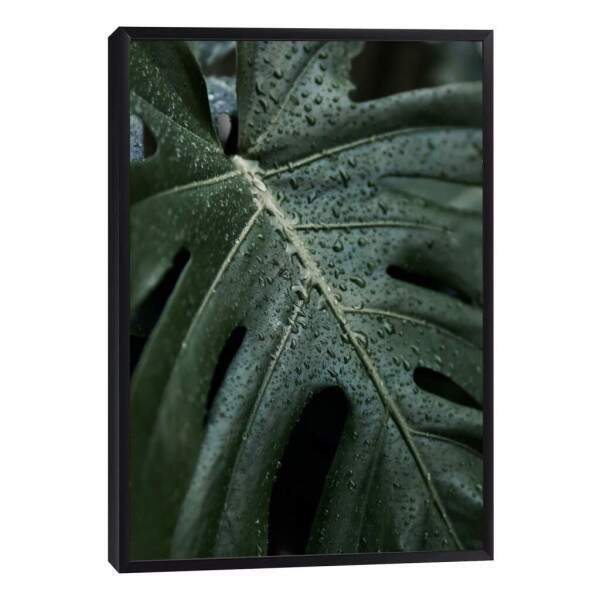 Quadro Decorativo Folha Verde com Orvalho - Inspire-se!