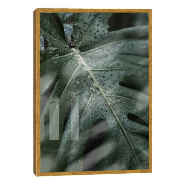 Quadro Decorativo Folha Verde com Orvalho - Inspire-se!