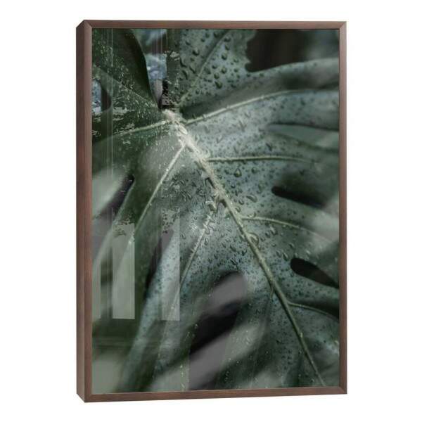 Quadro Decorativo Folha Verde com Orvalho - Inspire-se!