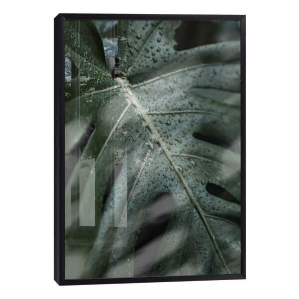 Quadro Decorativo Folha Verde com Orvalho - Inspire-se!