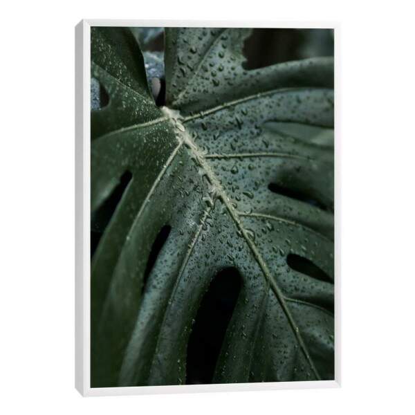 Quadro Decorativo Folha Verde com Orvalho - Inspire-se!
