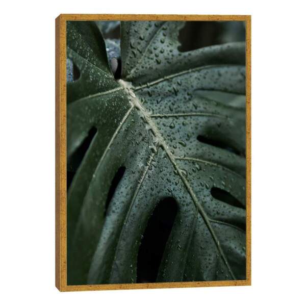 Quadro Decorativo Folha Verde com Orvalho - Inspire-se!