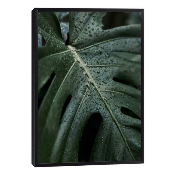 Quadro Decorativo Folha Verde com Orvalho - Inspire-se!