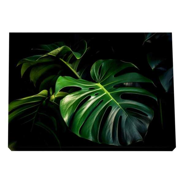 Quadro Decorativo Monstera Vibrante
