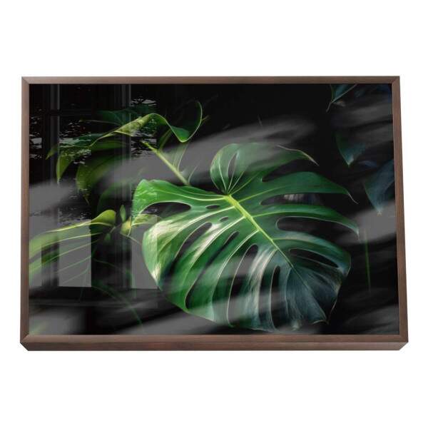 Quadro Decorativo Monstera Vibrante