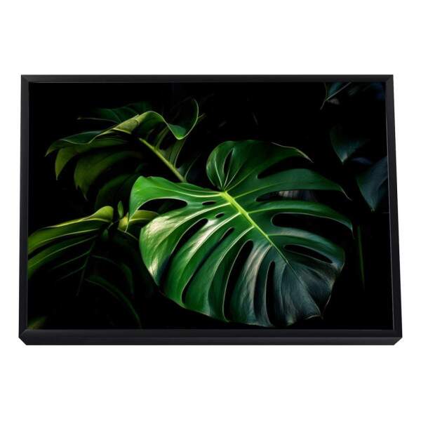 Quadro Decorativo Monstera Vibrante