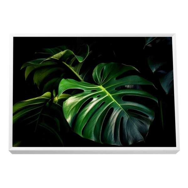 Quadro Decorativo Monstera Vibrante
