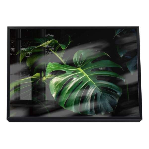 Quadro Decorativo Monstera Vibrante