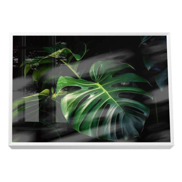 Quadro Decorativo Monstera Vibrante
