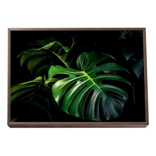 Quadro Decorativo Monstera Vibrante
