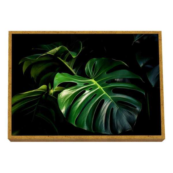 Quadro Decorativo Monstera Vibrante