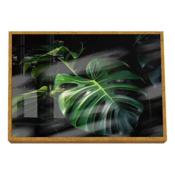 Quadro Decorativo Monstera Vibrante