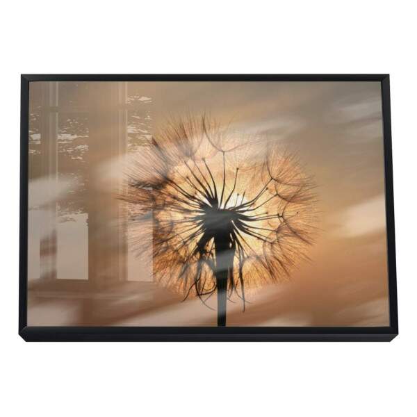 Quadro Decorativo Inspirador Dente-de-Leo ao Pr do Sol