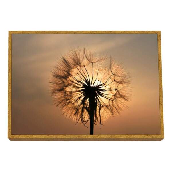Quadro Decorativo Inspirador Dente-de-Leo ao Pr do Sol