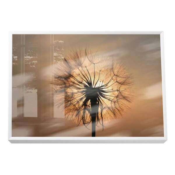 Quadro Decorativo Inspirador Dente-de-Leo ao Pr do Sol